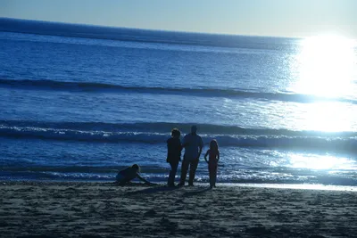 DSC_1189 (Large).JPG